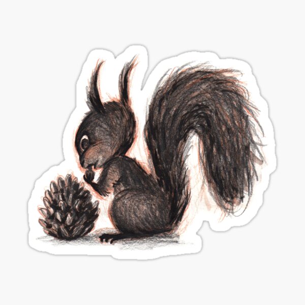Ecureuil dessin crayon Sticker