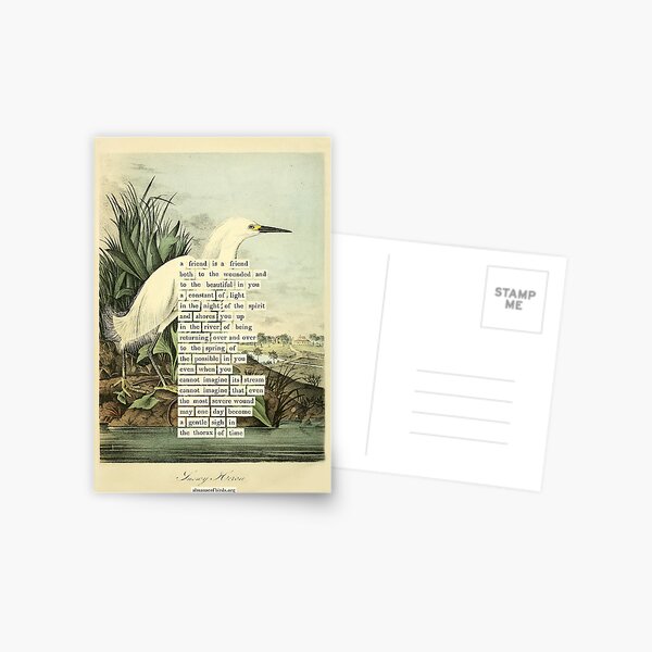 Item preview, Bird Divination: Snowy Heron (almanacofbirds.org) designed and sold by mariapopova.