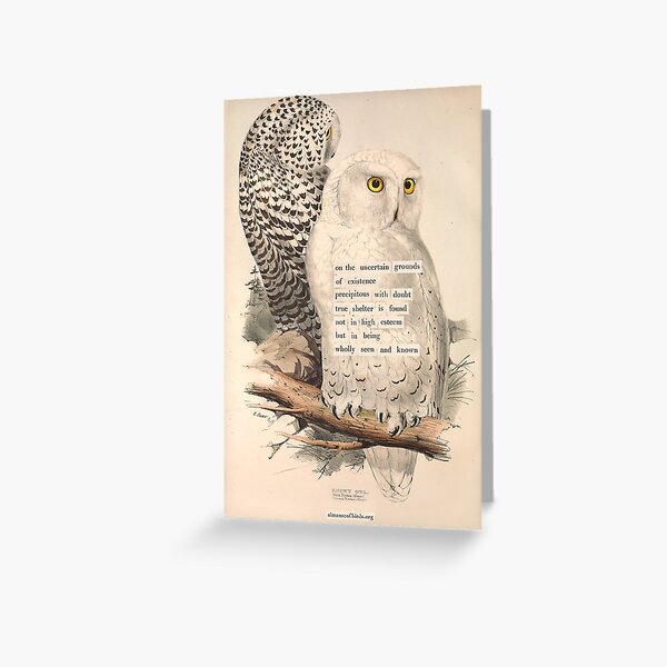 Item preview, Copy of Bird Divination: Snowy Owl (almanacofbirds.org) designed and sold by mariapopova.