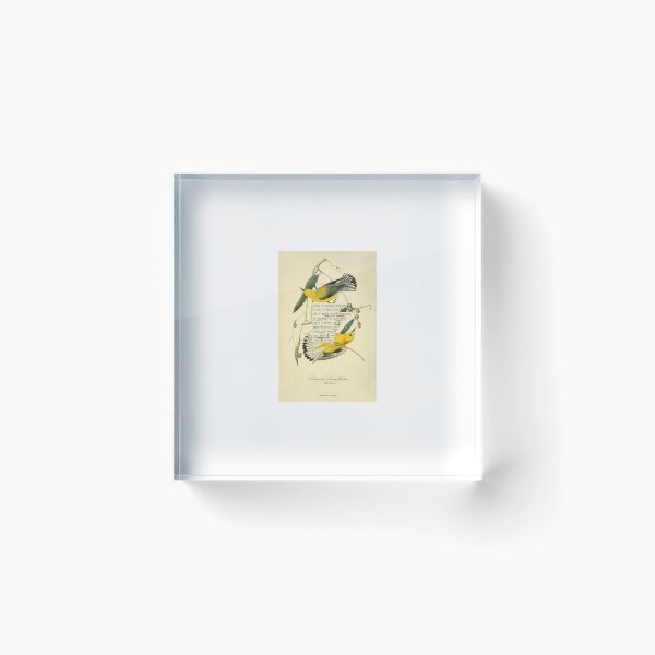 Item preview, Bird Divination: Prothonotary Swamp Warbler (almanacofbirds.org) designed and sold by mariapopova.