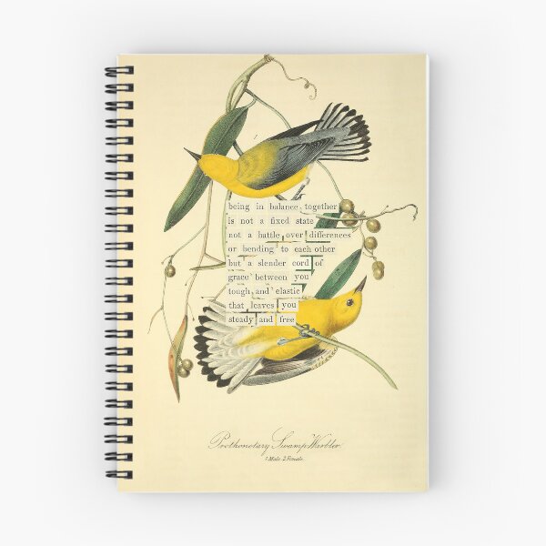 Item preview, Adivinación de aves: reinita protonotaria del pantano (almanacofbirds.org) designed and sold by mariapopova.