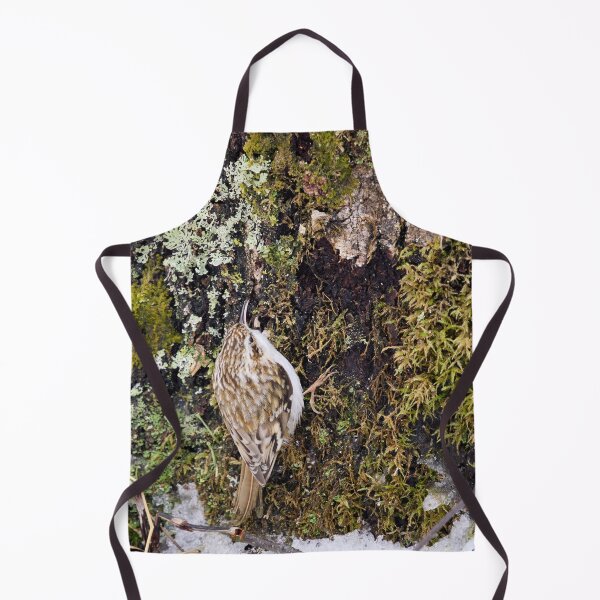 Item preview, Mosstime. Eurasian treecreeper designed and sold by Jouko Lehto Photography.