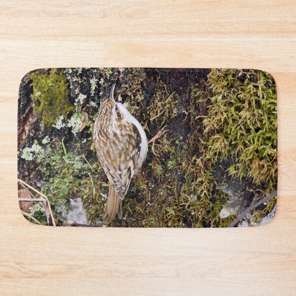 Item preview, Mosstime. Eurasian treecreeper designed and sold by Jouko Lehto Photography.