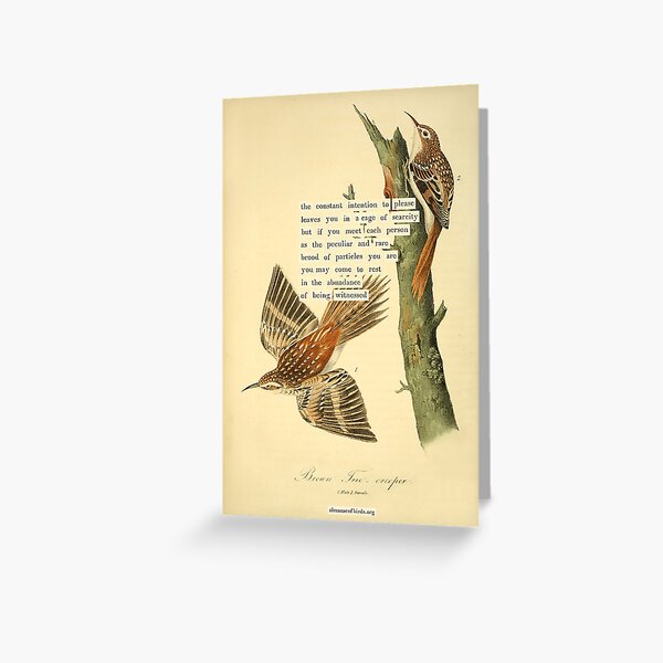 Item preview, Bird Divination: Brown Tree creeper (almanacofbirds.org) designed and sold by mariapopova.