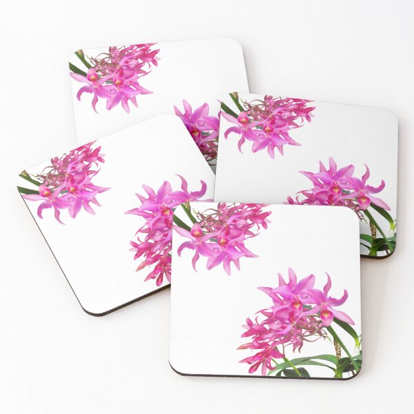 Item preview, Laelia Anceps Orchid | Elegant Botanical Floral Art designed and sold by LuxuryApparels.
