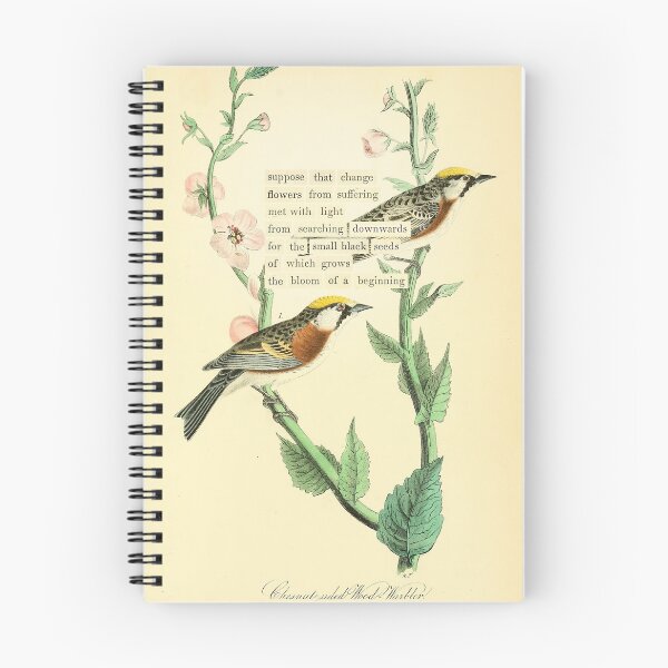 Item preview, Bird Divination: Chestnut sided Wood Warbler (almanacofbirds.org) designed and sold by mariapopova.