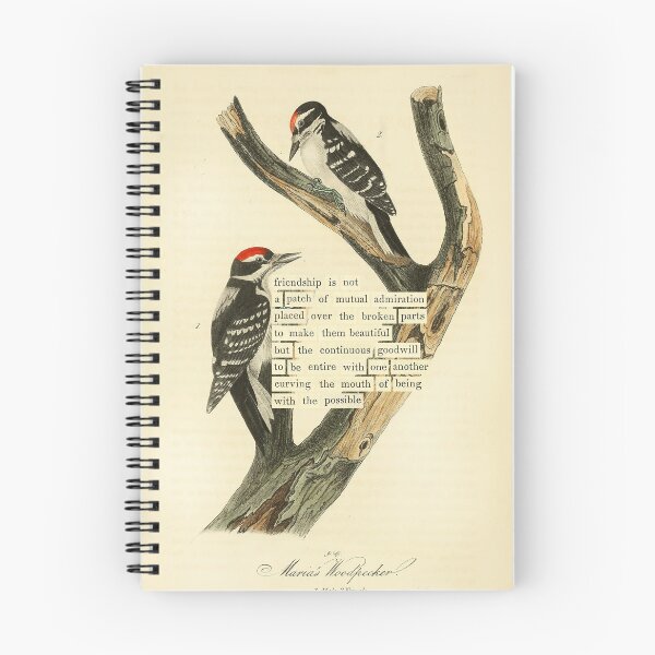Item preview, Bird Divination: Marias Woodpecker (almanacofbirds.org) designed and sold by mariapopova.