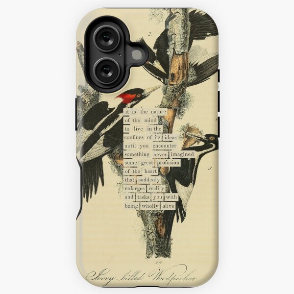 Item preview, Bird Divination: Ivory billed Woodpecker (almanacofbirds.org) designed and sold by mariapopova.