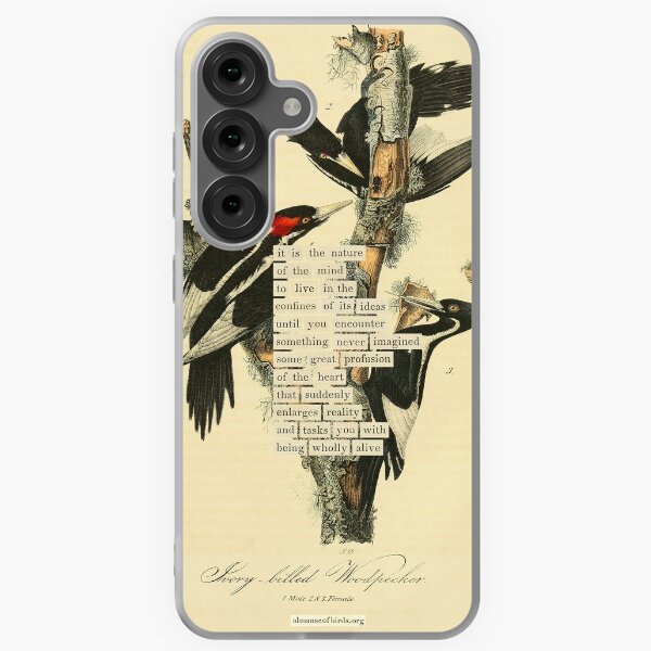 Item preview, Bird Divination: Ivory billed Woodpecker (almanacofbirds.org) designed and sold by mariapopova.