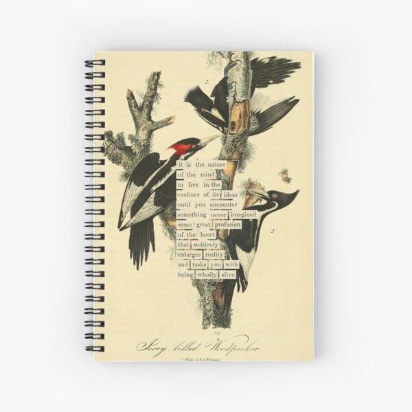 Item preview, Bird Divination: Ivory billed Woodpecker (almanacofbirds.org) designed and sold by mariapopova.