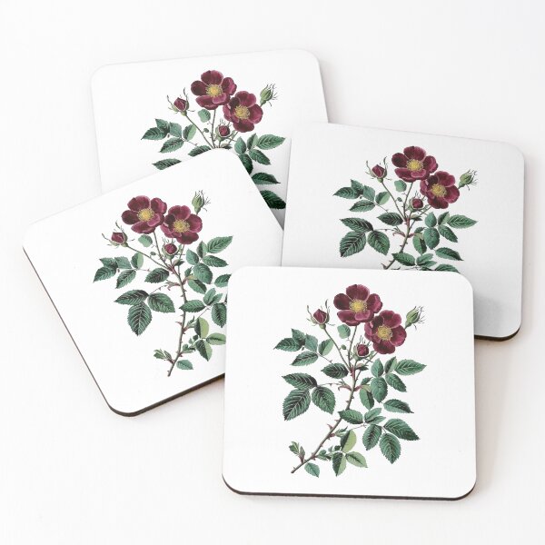 Item preview, Vintage Botanical Red Wild Rose Illustration designed and sold by Liededrom..