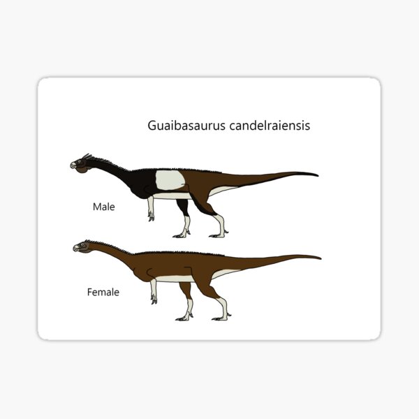 Item preview, Guaibasaurus candelraiensis designed and sold by TTorres45.