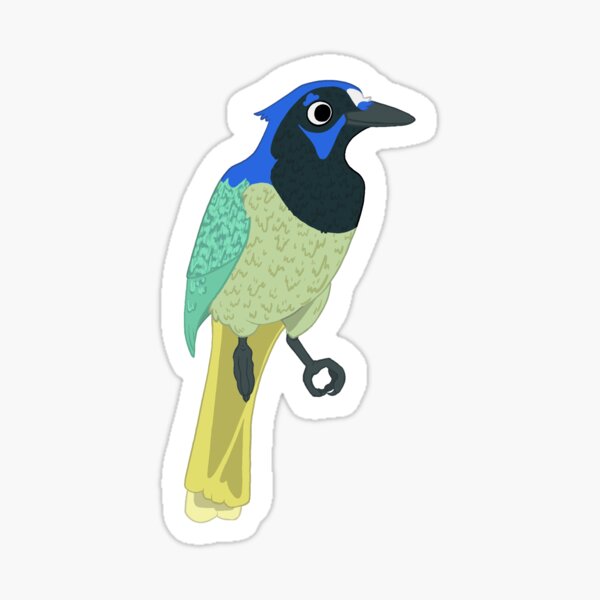Artikel-Vorschau von Grüner Jay-Aufkleber, designt und verkauft von VultureMonarch.