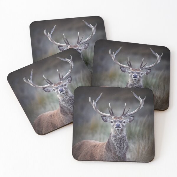 Item preview, Red Deer Stag designed and sold by Tom McPherson Photography.