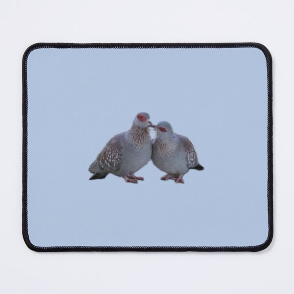 Item preview, kissing pigeons designed and sold by abby cartwright.