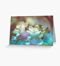 Apple blossoms over blurred nature background Greeting Card