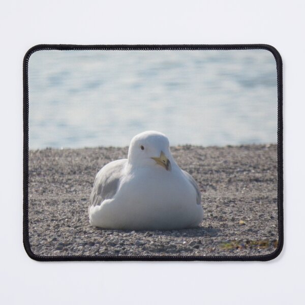 Item preview, Seagull - Doing Me Time designed and sold by GiftsbyNaomi.