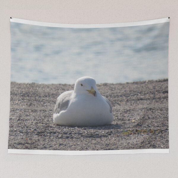 Item preview, Seagull - Doing Me Time designed and sold by GiftsbyNaomi.