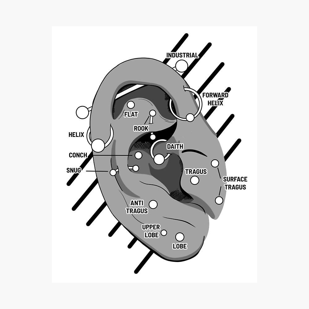 Ear Piercing Chart Poster