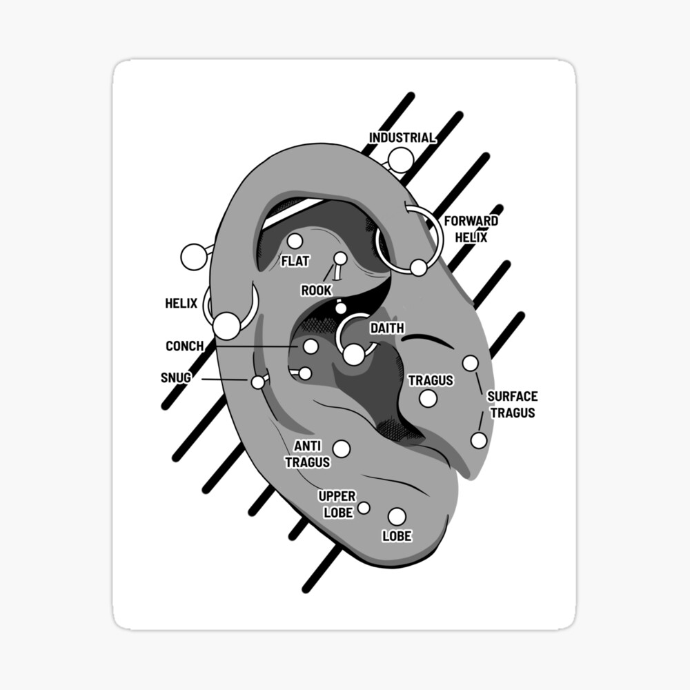 Ear Piercing Chart Poster