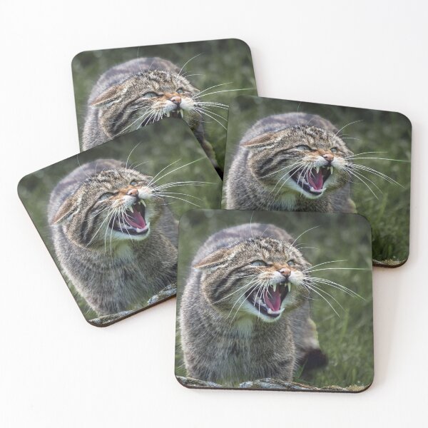 Item preview, Scottish Wildcat designed and sold by Tom McPherson Photography.
