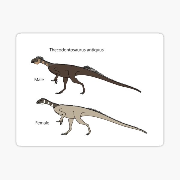 Item preview, Thecodontosaurus antiquus designed and sold by TTorres45.
