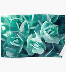 Artistic macro shot of plant leaves Poster