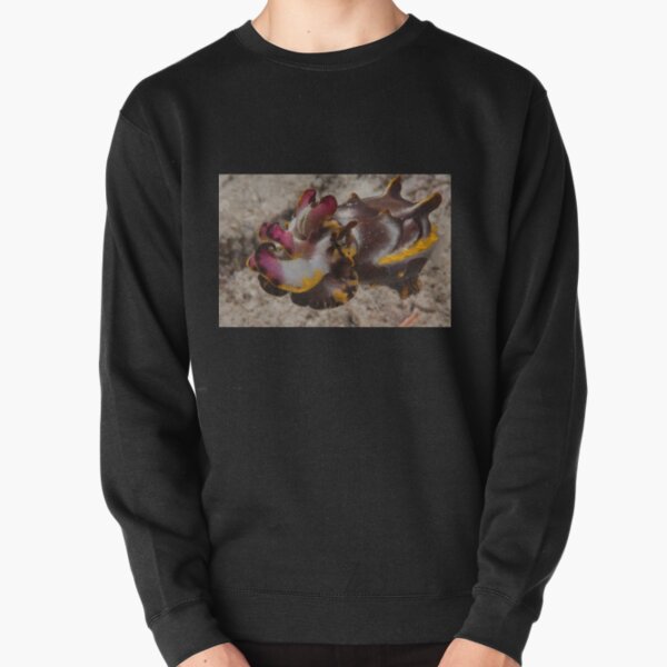 Flamboyant Cuttlefish, Kapalai, Sabah, Malaysia Pullover Sweatshirt