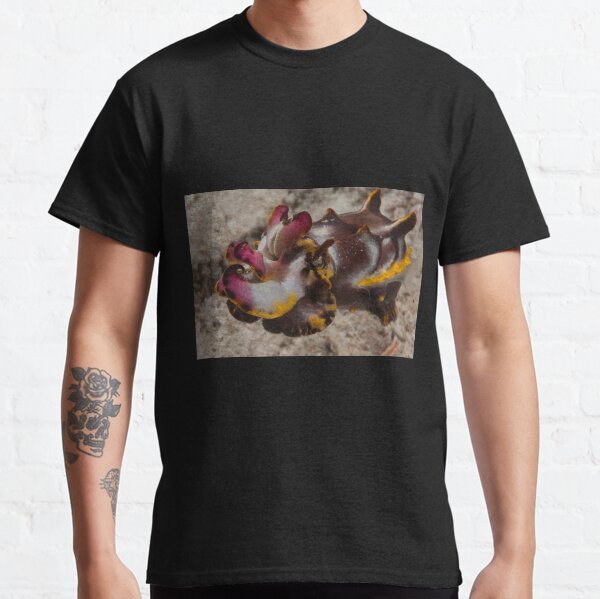 Flamboyant Cuttlefish, Kapalai, Sabah, Malaysia Classic T-Shirt