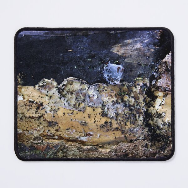 Item preview, the treordeal designed and sold by richman.