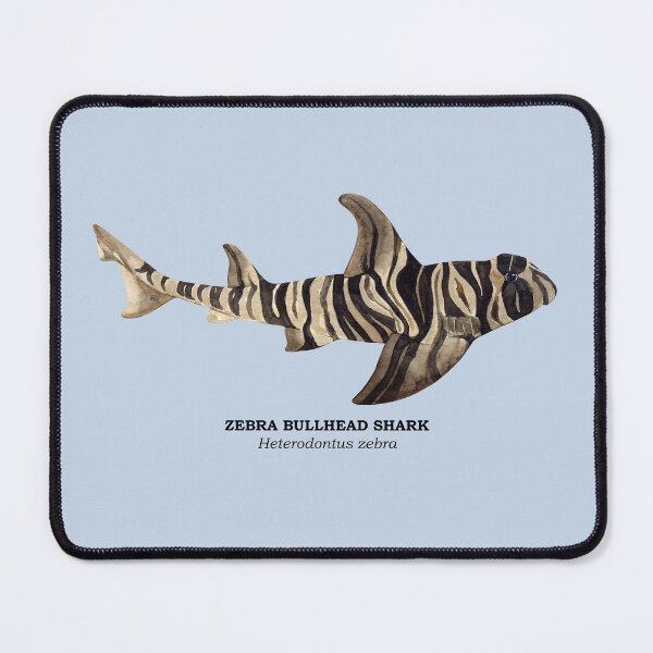 Item preview, ZEBRA BULLHEAD SHARK-Heterodontus zebra (name) designed and sold by BEATRIZ ABAITUA.