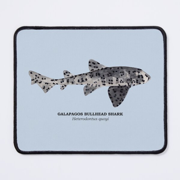 Item preview, GALAPAGOS BULLHEAD SHARK-Heterodontus quoyi (name) designed and sold by BEATRIZ ABAITUA.