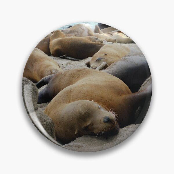 Item preview, Snoozing Sea Lion designed and sold by KateyMurphy.