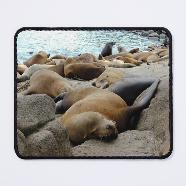 Item preview, Snoozing Sea Lion designed and sold by KateyMurphy.
