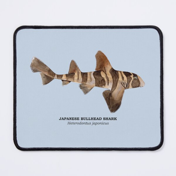Item preview, JAPANESE BULLHEAD SHARK Heterodontus japonicus (name) designed and sold by BEATRIZ ABAITUA.