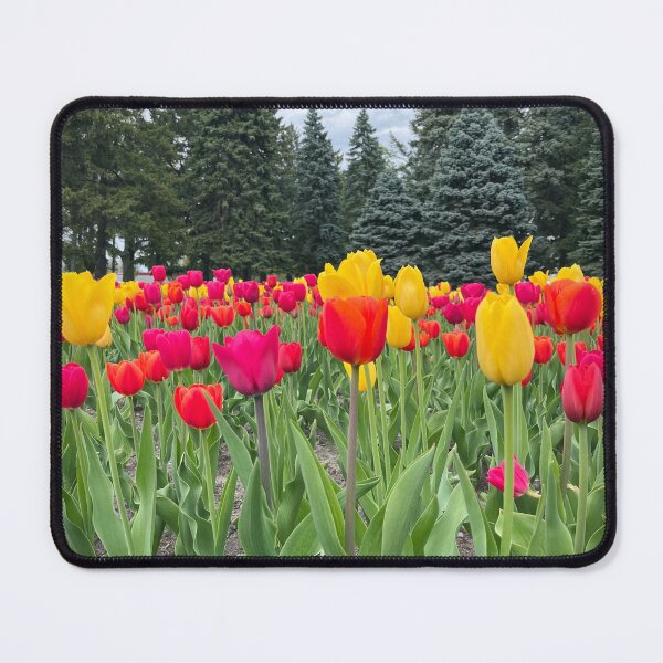 Item preview, Tulip Dreams designed and sold by Lana Magnolia.