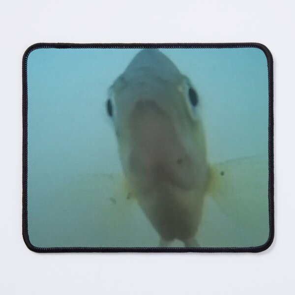 Item preview, Full Face of a Bluegill Underwater  designed and sold by CJRPics.