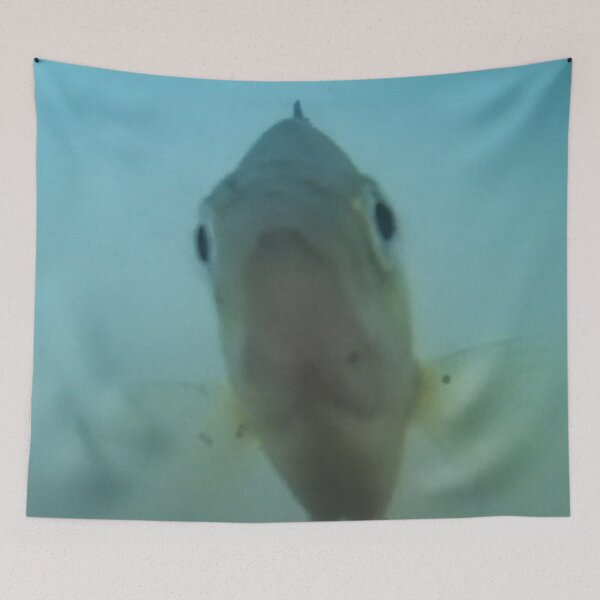 Item preview, Full Face of a Bluegill Underwater  designed and sold by CJRPics.