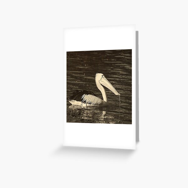 Item preview, Pelican  designed and sold by BlacknWhiteAus.