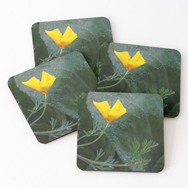 Item preview, Delicate California Poppy Highlighted designed and sold by lisavonbiela.