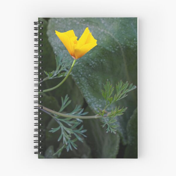 Item preview, Delicate California Poppy Highlighted designed and sold by lisavonbiela.