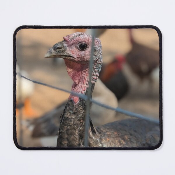Item preview, Turkey Side-Eye designed and sold by TheRealDanniX.
