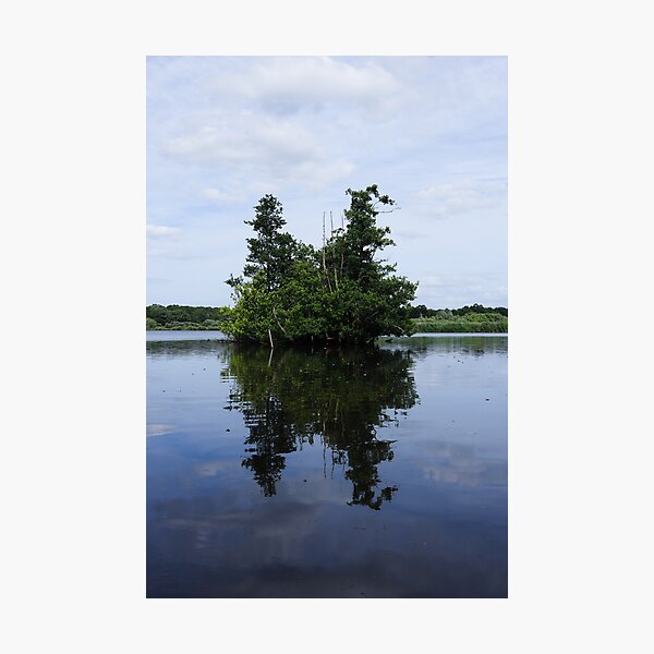 Item preview, A Tree on the Water designed and sold by walkuponacloud.