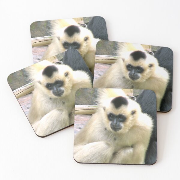 Item preview, Sitting Pretty designed and sold by Lana Magnolia.