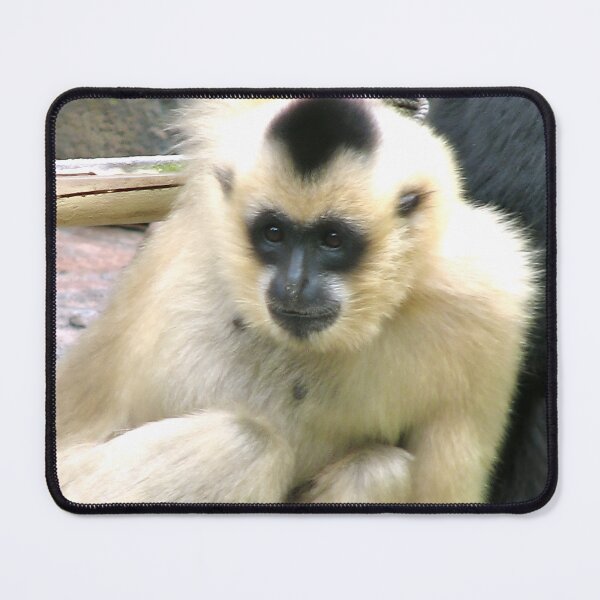 Item preview, Sitting Pretty designed and sold by Lana Magnolia.