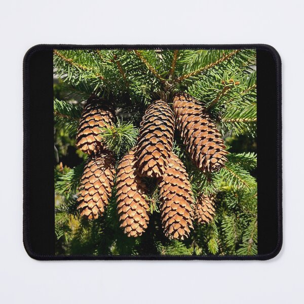 Item preview, Pine Cone Magic designed and sold by Lana Magnolia.