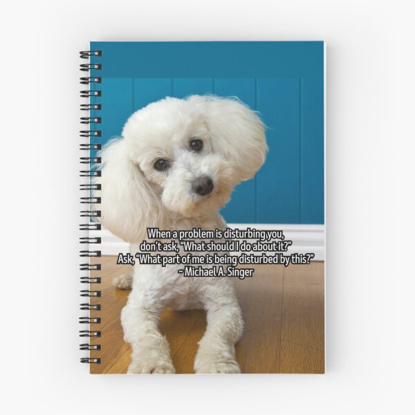 Item preview, When A Problem Is Disturbing You designed and sold by Emilyromrell.