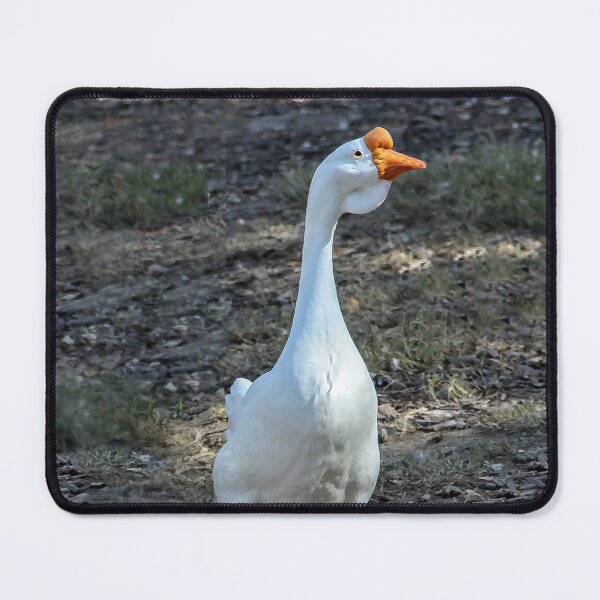 Item preview, I Will Find Food For Both of Us designed and sold by heatherfriedman.
