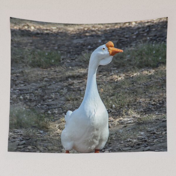 Item preview, I Will Find Food For Both of Us designed and sold by heatherfriedman.
