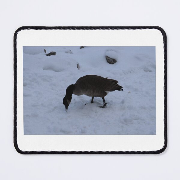 Item preview, Canadian Goose designed and sold by bobwassy1234.